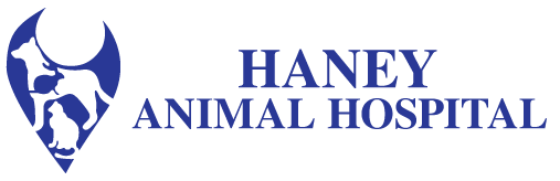 Haney Animal Hospital